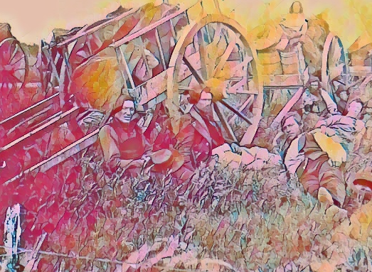 Who Are The Metis People?