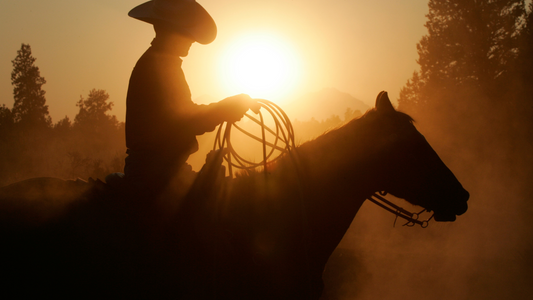 An Untold Story of a Daring Escape That Never Was: The Mystery of Riel's Last Hope